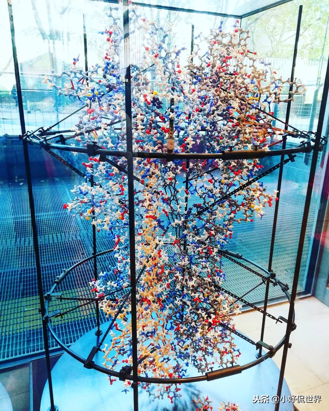 教科书照片与现实照片,教科书图片里的人