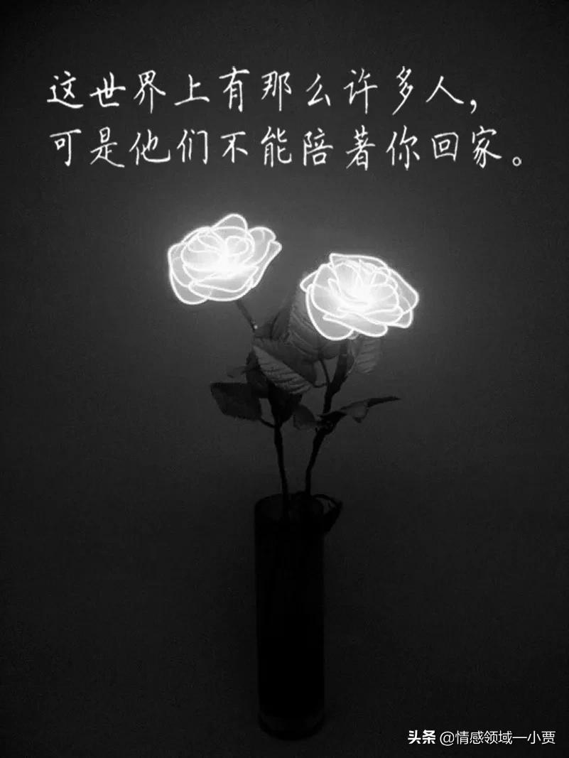 得不到的永远在骚动被偏爱的人,得不到的永远在骚动被偏爱