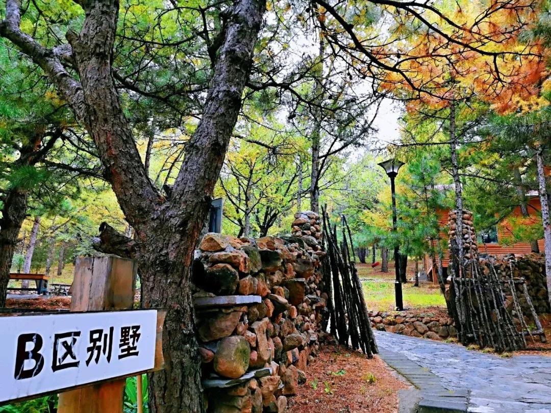 天津周边古镇一日游最佳路线,天津附近古镇免费游一日游攻略