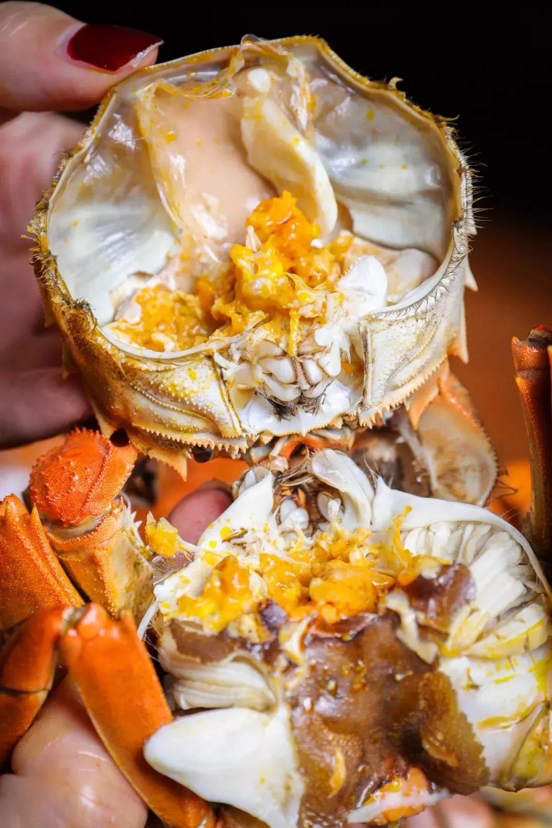 螃蟹怎么挑选黄满膏肥海蟹,怎么挑螃蟹才是肥的呢