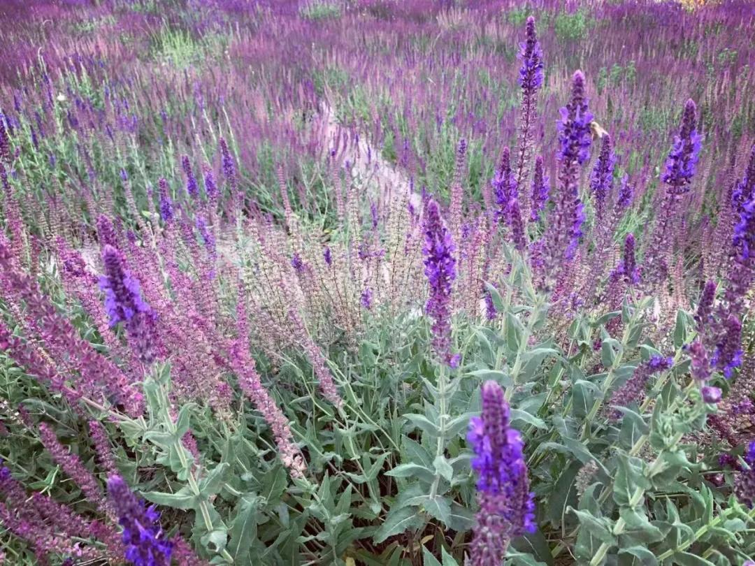 comeonbaby翻译,comeonbaby歌曲女声