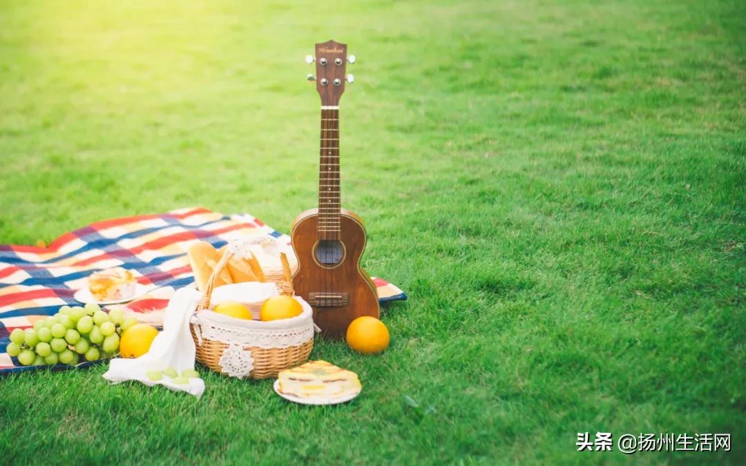 扬州香奈儿的梦幻体验馆,扬州香奈儿梦幻体验馆