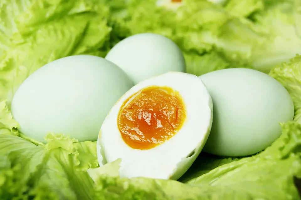油脂高咸鸭蛋可以吃吗,咸鸭蛋的蛋白与油脂