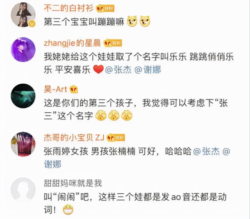 谢娜二胎是生男的还是女的,谢娜二胎的宝宝取名了吗