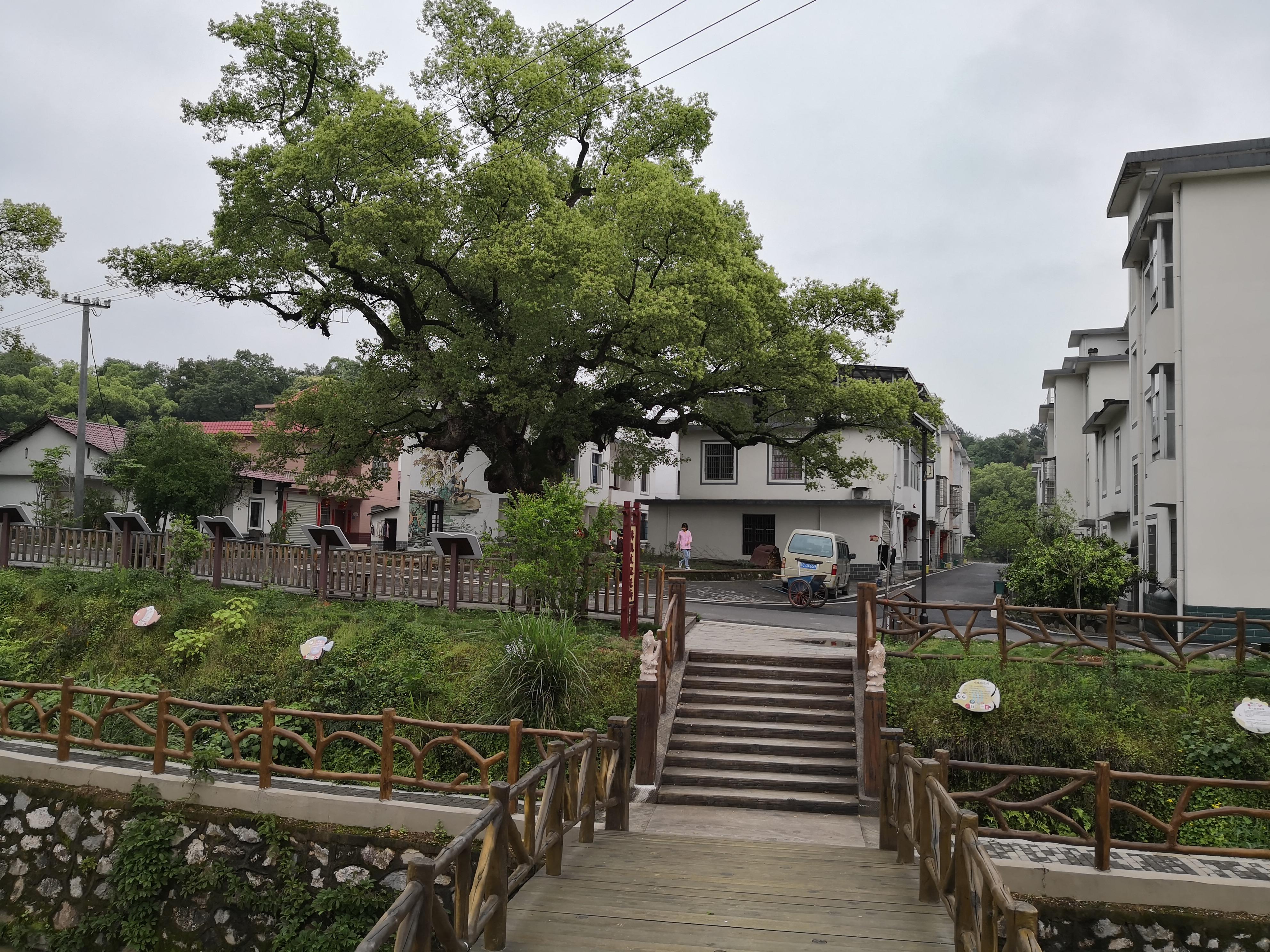 妈妈那边的亲戚称呼大全,山东亲属称呼大全