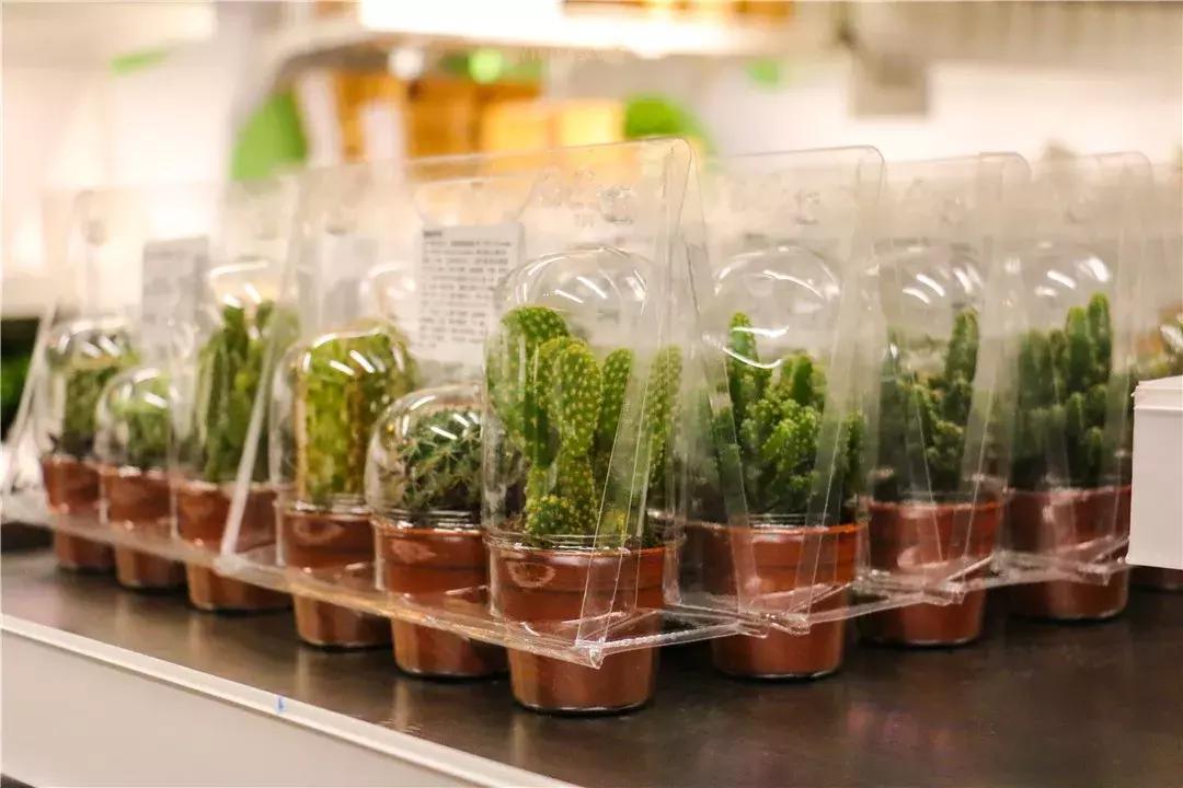 郑州宜家第一个星期六,宜家河南门店