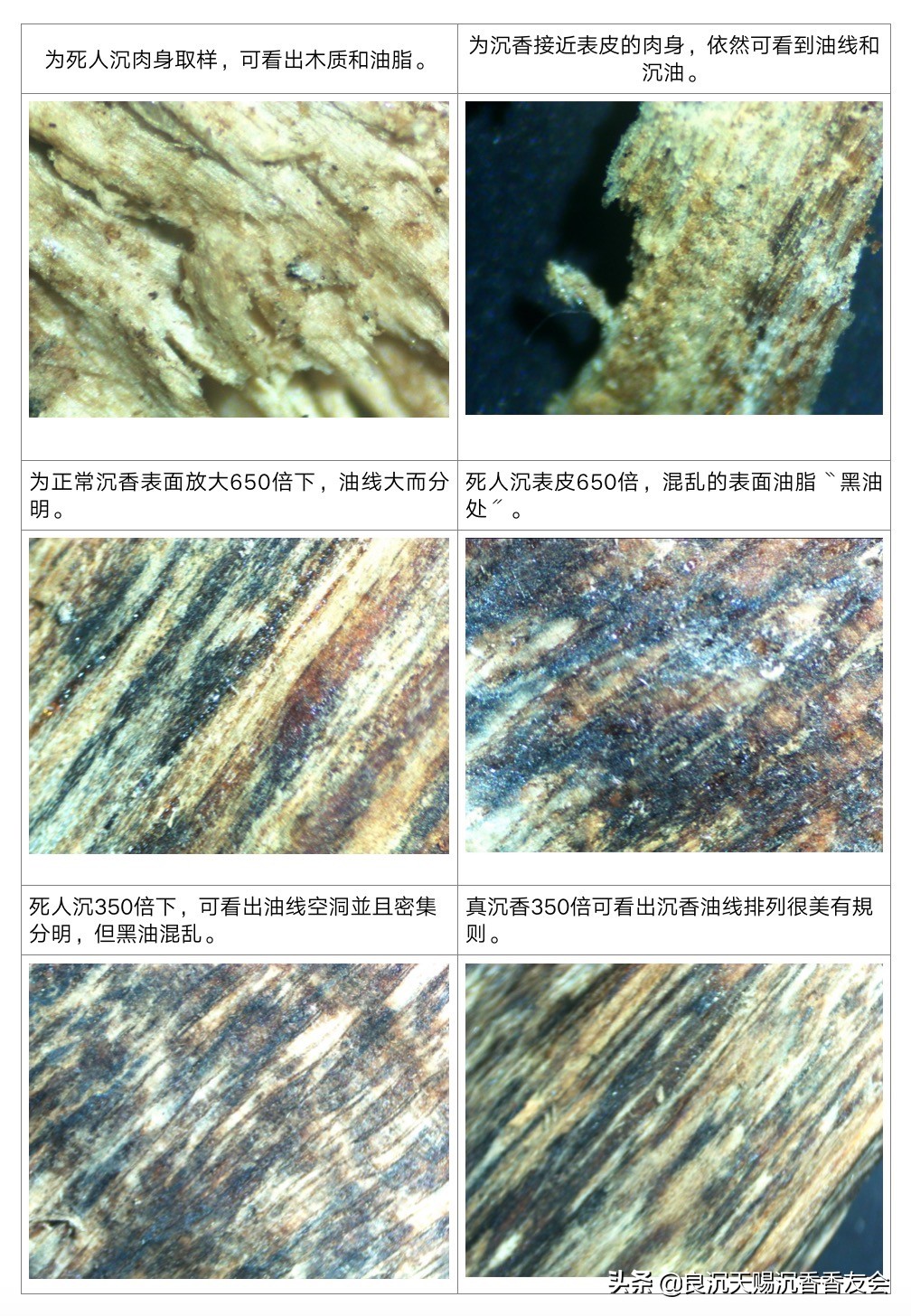 真沉香和假沉香香烟区别图片,真沉香和假沉香手串怎么分别