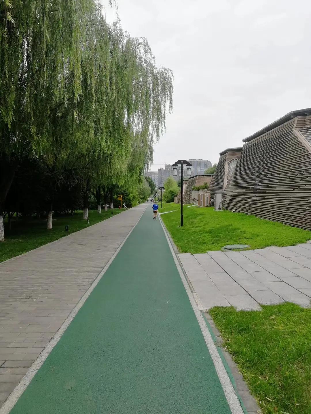 探寻西安大明宫国家遗址公园攻略,西安的大明宫遗址公园