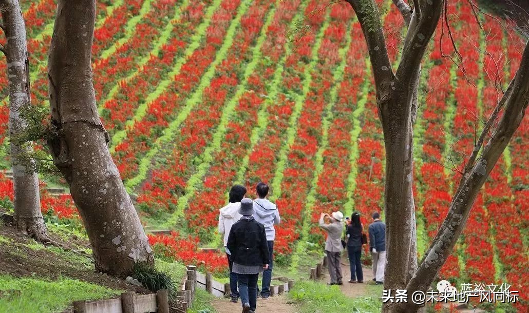 母亲牧场要玩多久,低成本花园家庭农场亲子乐园