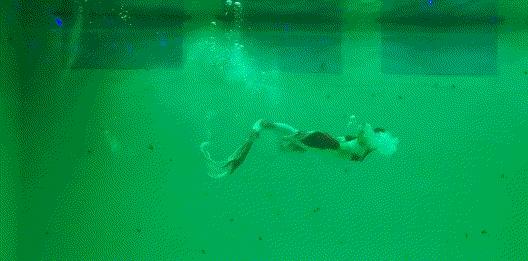 金牛湖野生动物王国过年去怎么样,金牛湖野生动物王国游玩时间