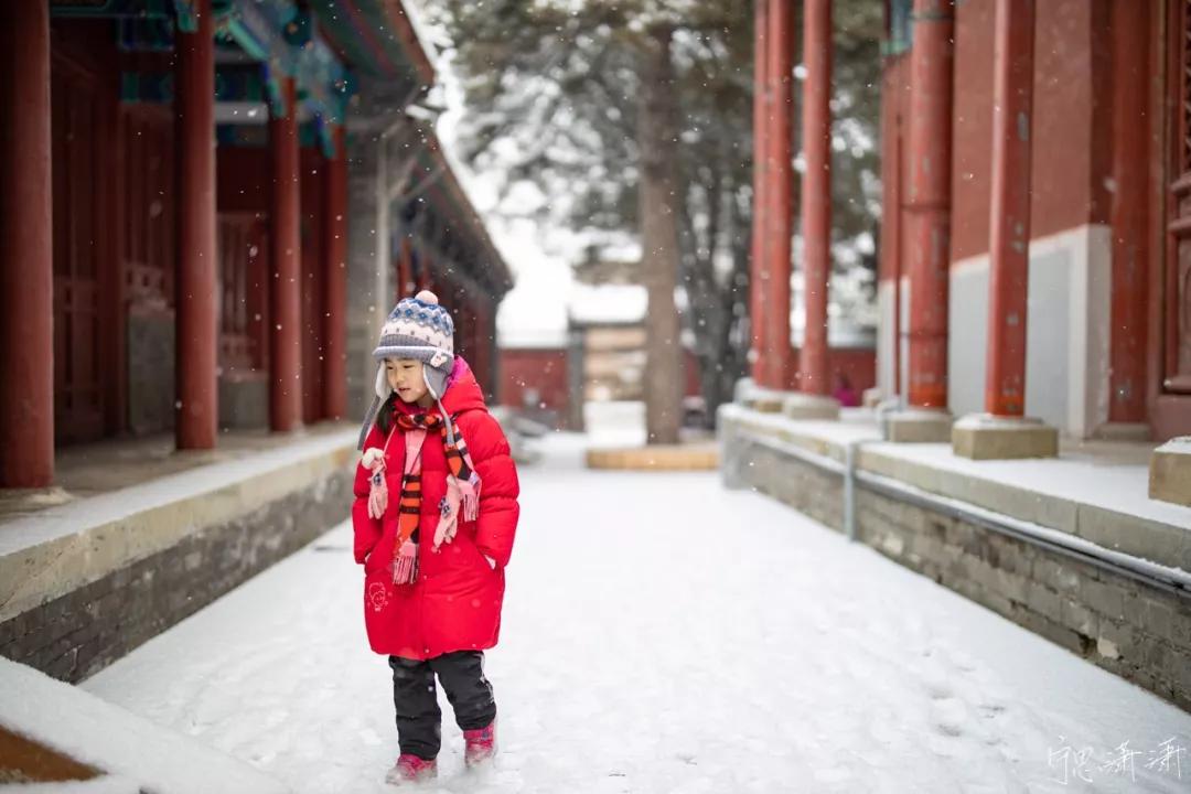 摄影初学者预算两千买什么相机,家用和旅游摄影买什么相机
