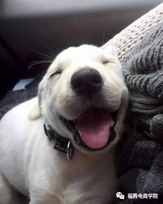 淘宝账号的注册流程，配图详解