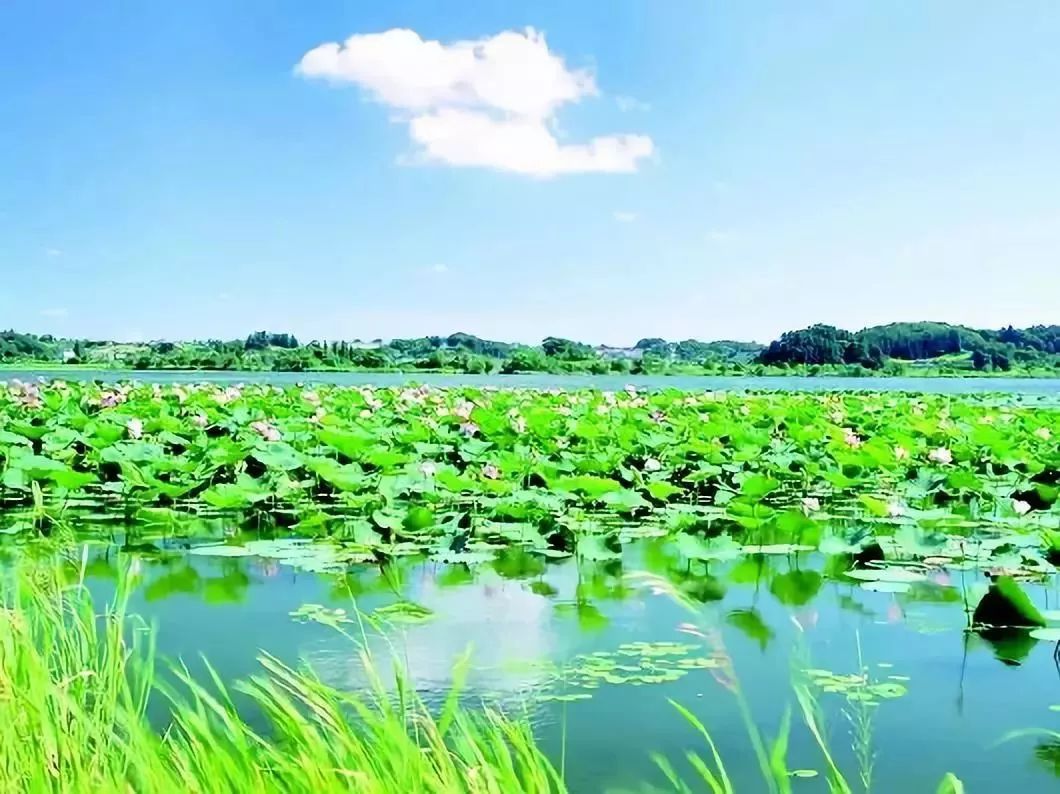 人少景美的山东小众旅行地,只要胆子大就能放长假
