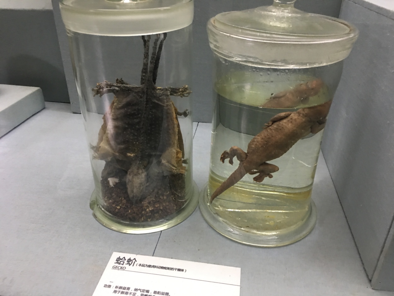 孙思邈的尸体之谜,药王孙思邈一些奇怪理论