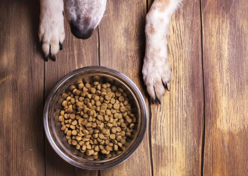 阿拉斯加犬幼犬狗粮如何挑选,怎么挑选狗粮这几点教你挑选