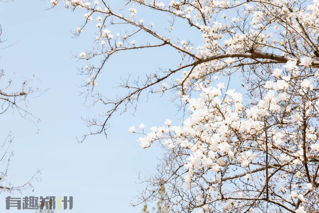 恢复堂食事件,恢复堂食新闻报道