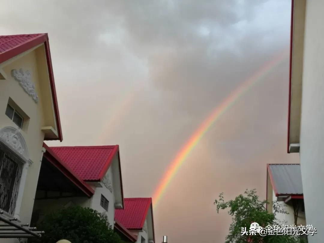 下雨了水来了,下雨了下雨了下雨了歌词试听