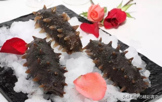 中国最好的海刺海参,黄金刺参西沙群岛深海纯野生海参