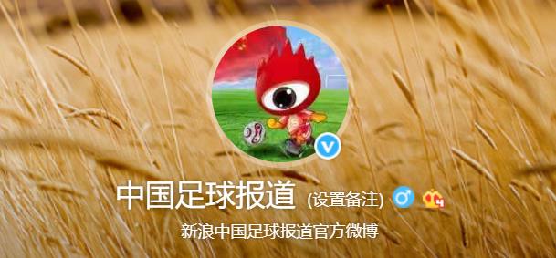 解读中国足球,深度解析中国足坛