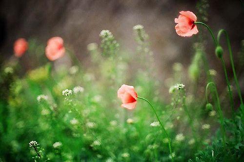 鼓励自己努力的语句励志,积极努力励志的说说简短