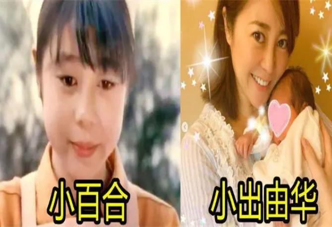 铁甲小宝小百合多大了,铁甲小宝的小百合现在怎么样了