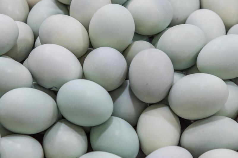 腌咸鸭蛋不要太咸还流油的做法,腌咸鸭蛋不用白酒的方法