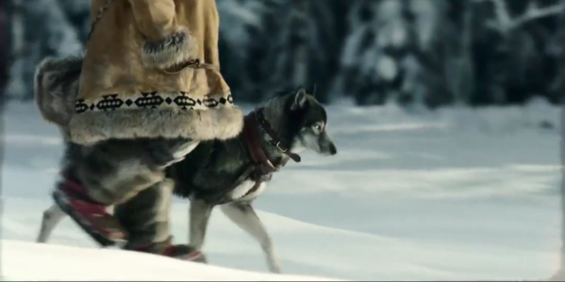 多哥电影讲的什么故事,电影多哥主要讲了什么