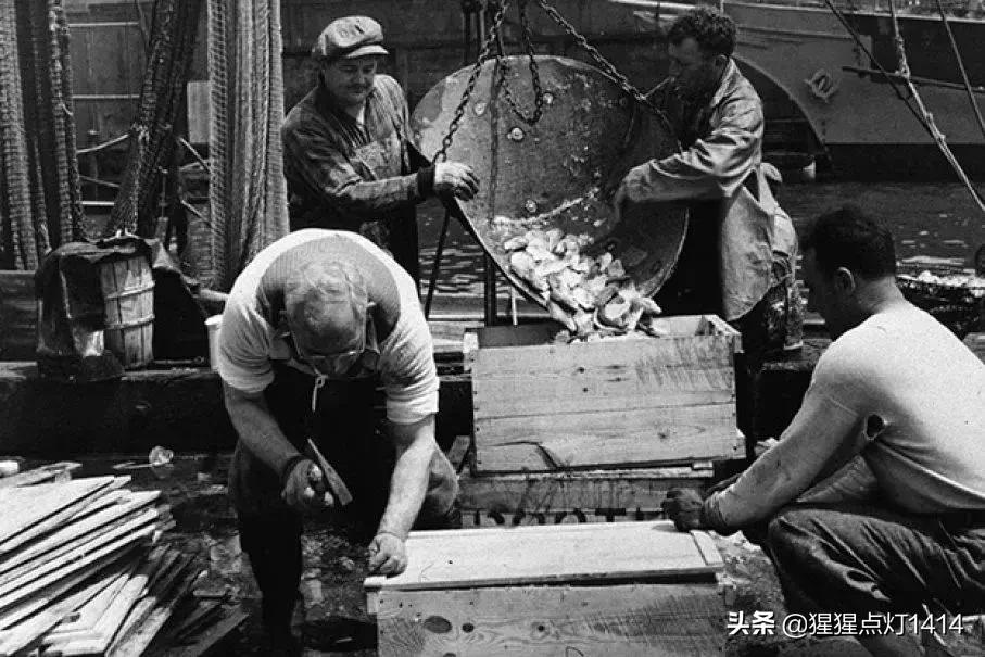 历史类｜黑道的堕落，是从大哥们卖水饺开始的。你知道为什么吗？