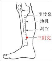 张雪亮精品课《百病从肾养》第四讲｜“女人肾虚老得快”