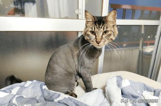 拼多多和淘宝牌子的东西有啥区别,拼多多和淘宝哪个更靠谱一些