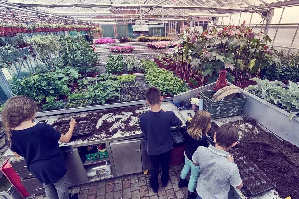 世界最贵贵族学校,世界最贵十大学校