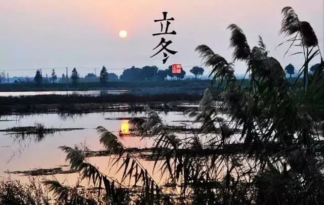 24节气适合喝什么茶,一年最热的节气宜喝什么茶