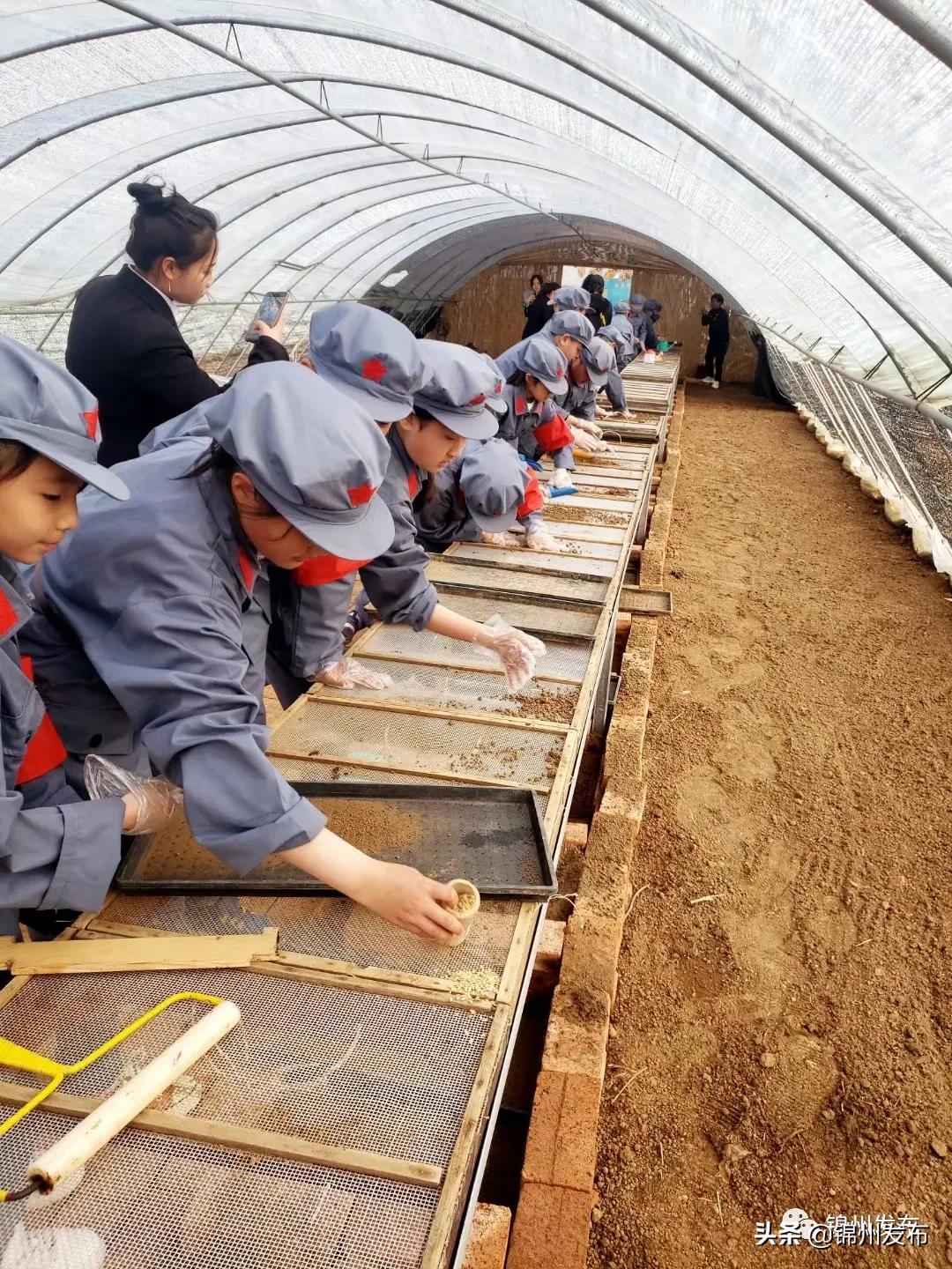 奋斗百年路启航新征程小学生视频,奋斗百年路启航新征程辽宁