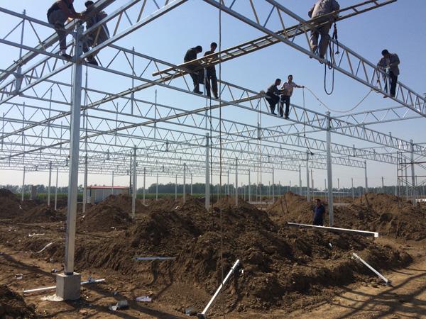 连栋温室大棚建造成本多少钱一平,2021一亩连栋温室大棚造价明细