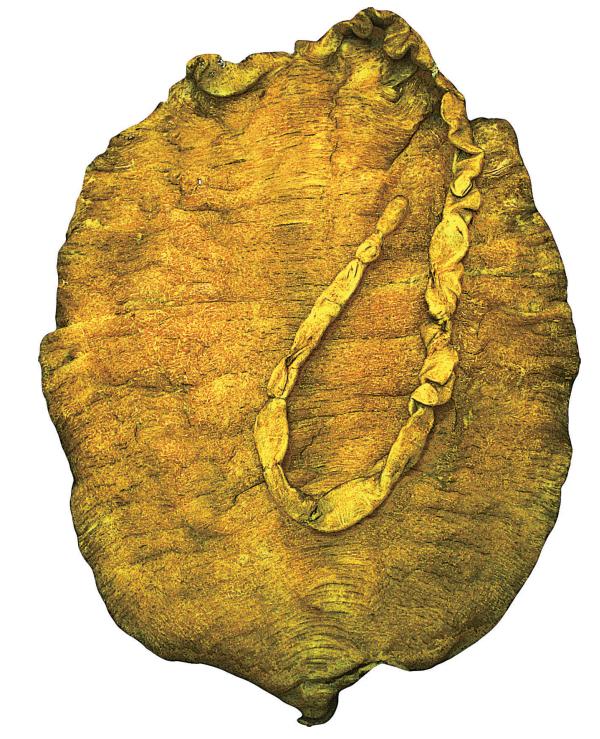 清真鸿宾楼图片,北京清真第一楼鸿宾楼测评