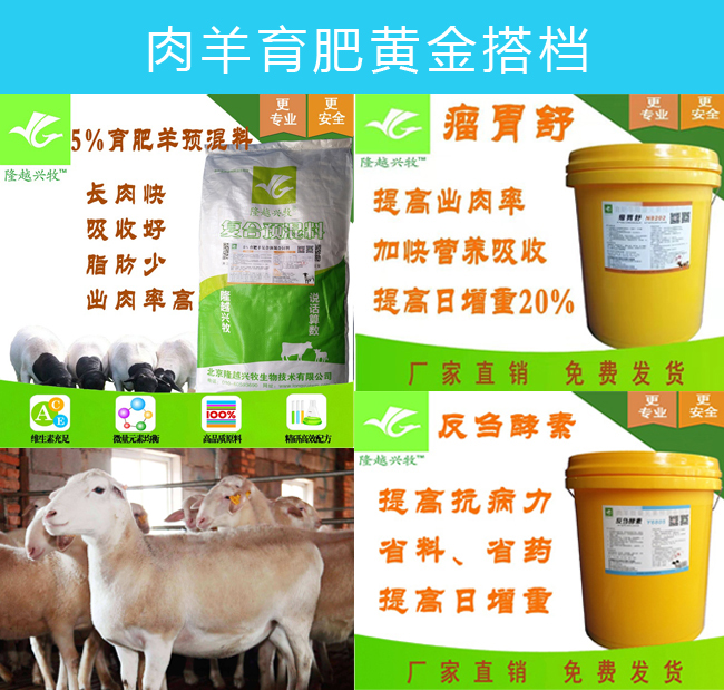 养羊一定要避开5大怪象,养羊最怕什么草