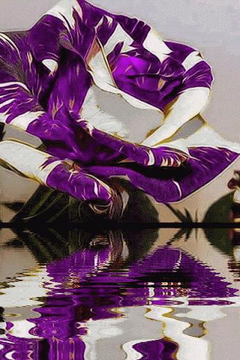 神秘的水中花,趣味神奇的水中花