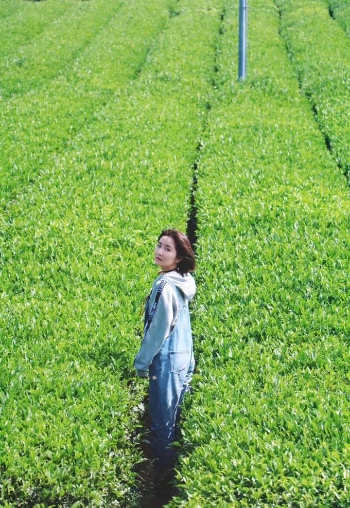 济州岛周末两日游,济州岛2天一夜跟团游