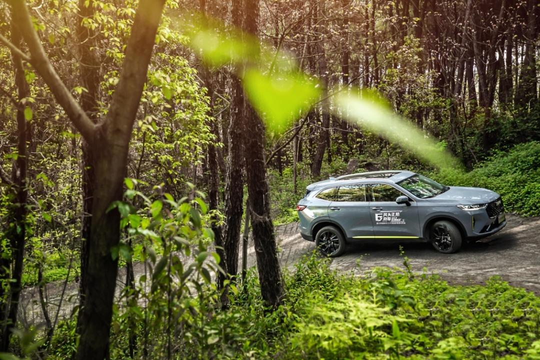 哈弗h6国潮版2.0gt版和第三代2.0t,第三代哈弗h62.0t暴力试驾