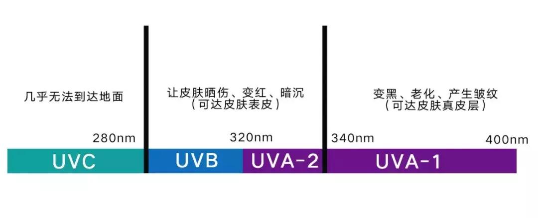 16款热门防晒到底怎么选,eltamd防晒排雷