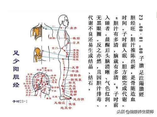 胆经健康操,胆经的正确敲打方法