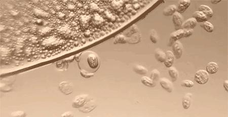 潮湿瘙痒有异味用什么药物洗,男性私部潮湿发痒用什么中成药