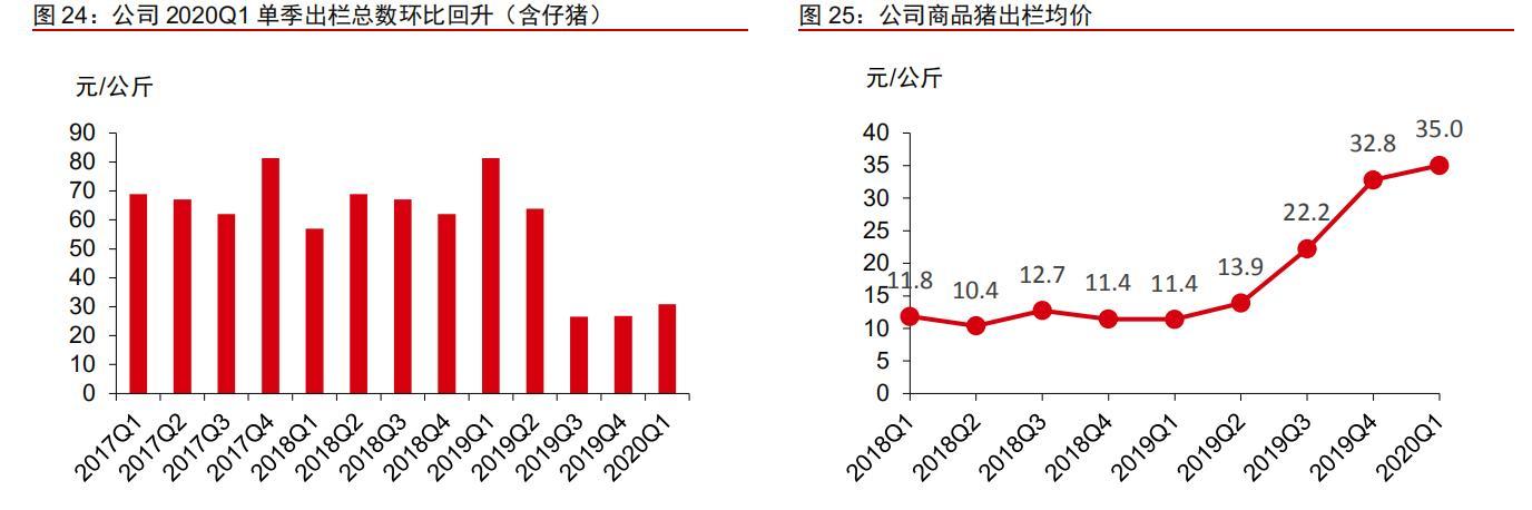 中粮肉食价值分析:性价比最高的猪肉股是他吗