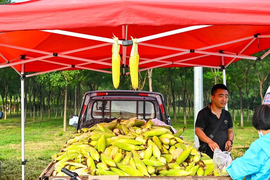 满满的烟火气逛大集真好玩,最值得逛的大集