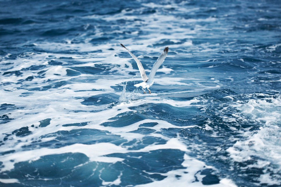 精美风景壁纸1200*800,顶级绝美壁纸10张高清无水印