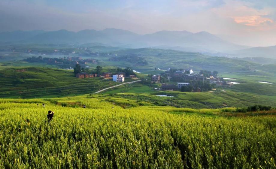 原创诗词14首,经典诗词36首