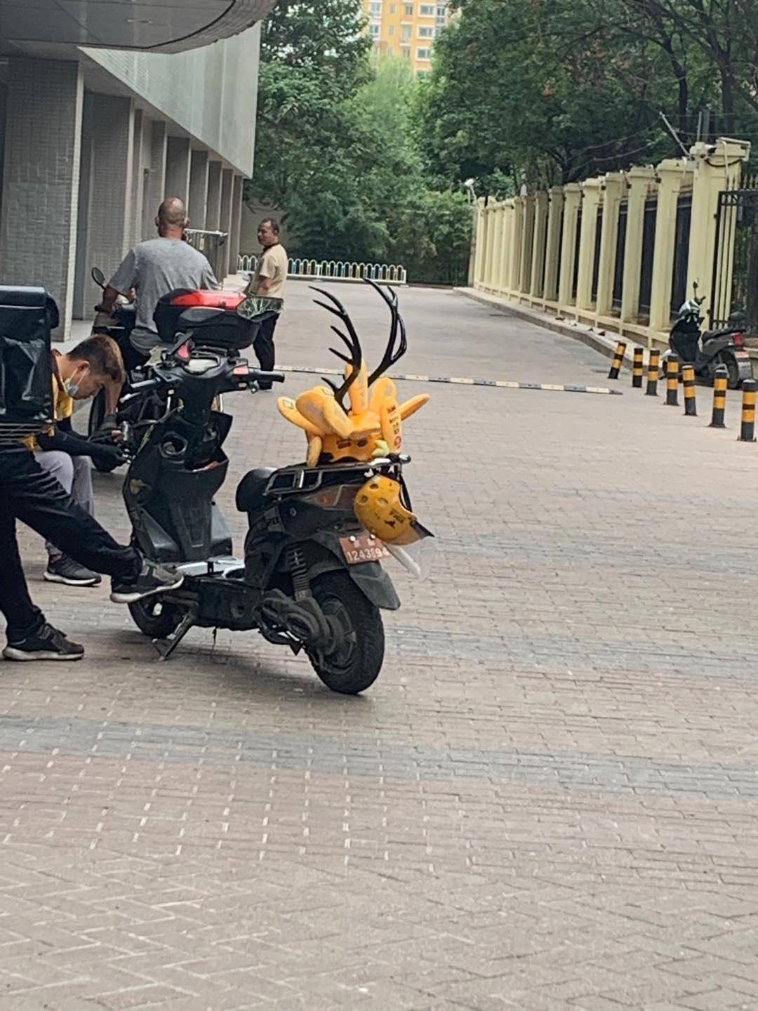 选竹蜻蜓还是袋鼠耳朵?外卖小哥的头盔大战,背后是卖萌出奇迹