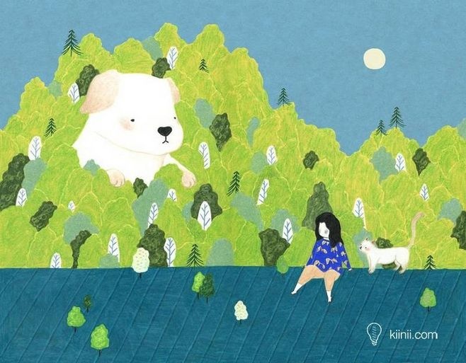 狗狗冷知识大合集视频,狗狗冷知识狗粮