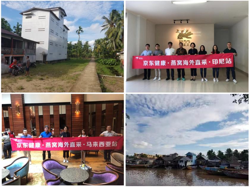 京东燕窝怎么选,京东旗舰店买燕窝靠谱吗