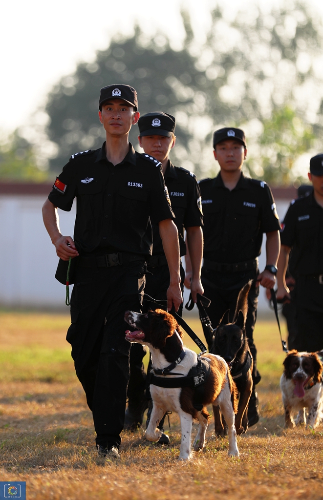 警犬训犬师的工作和生活,如何成为一名合格的警犬训导员